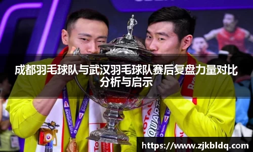 成都羽毛球队与武汉羽毛球队赛后复盘力量对比分析与启示